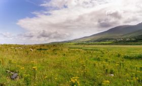 Irish Forecast: fim de semana será de calor na Irlanda