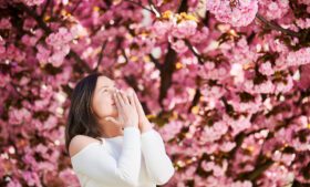 Hay fever: conheça as causas e efeitos da alergia sazonal na Irlanda