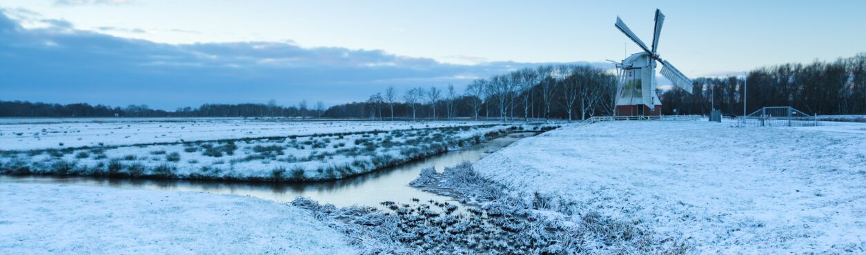 Previsão do tempo na Irlanda: país deve enfrentar condições severas de neve e gelo em diversas regiões